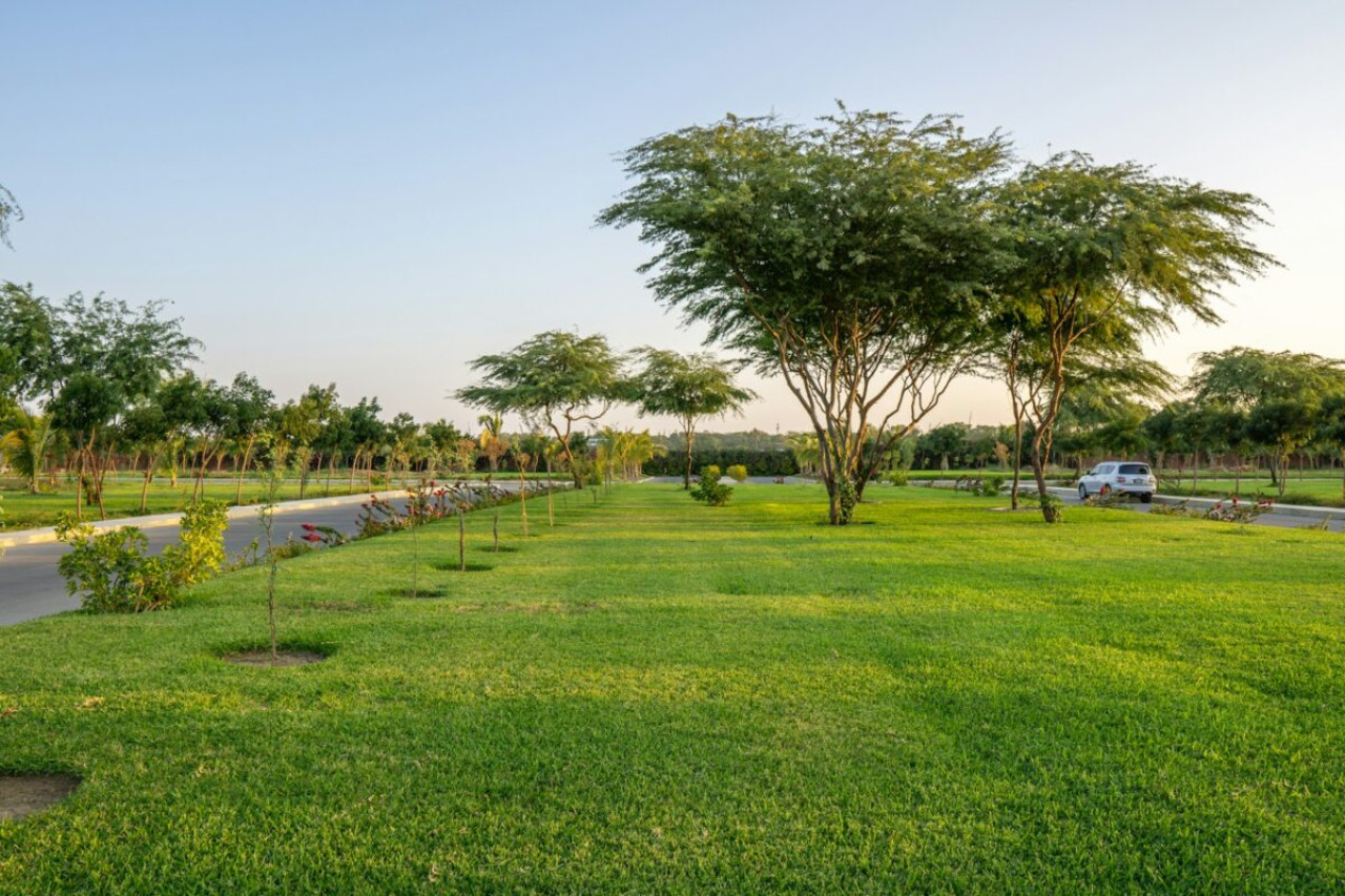 Services d'entretien de jardin : Prix et Sélection 1 Services d'entretien de jardin : Prix et Sélection